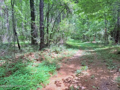 This 164.19 surveyed-acre property on Potluck Road in Canton - photo 23