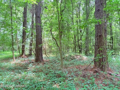 This 164.19 surveyed-acre property on Potluck Road in Canton - photo 24