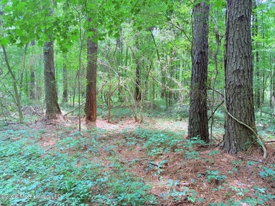 This 164.19 surveyed-acre property on Potluck Road in Canton - photo 25