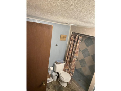 Welcome to the market this 3 bedroom 1.5 bath located on a dead - photo 5