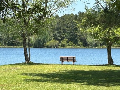 Lake Lot For Sale in Meigs, Georgia