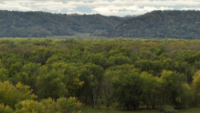 Waterfowl & Fishing Camp for Sale on the Mississippi River - photo 28