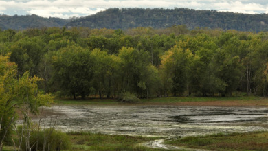 Waterfowl & Fishing Camp for Sale on the Mississippi River - photo 27