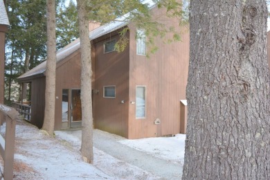 Lake Condo For Sale in Grantham, New Hampshire