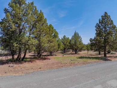 Donovan Reservoir Lot For Sale in Alturas California