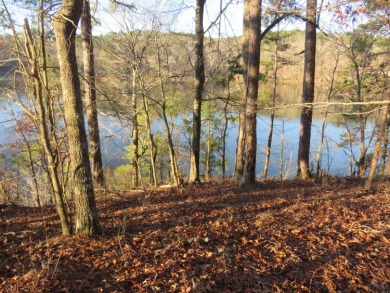# Your Dream Waterfront Lot Awaits at Rock Ridge Subdivision - photo 4
