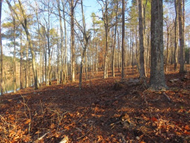 # Your Dream Waterfront Lot Awaits at Rock Ridge Subdivision! - photo 5