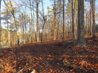 # Your Dream Waterfront Lot Awaits at Rock Ridge Subdivision! - photo 2