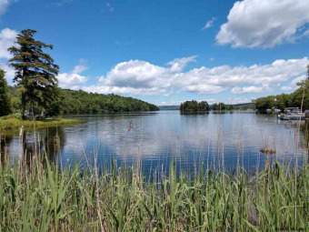 Great opportunity to build your lake home retreat. Property has - Lake Lot Under Contract in Bleecker, New York