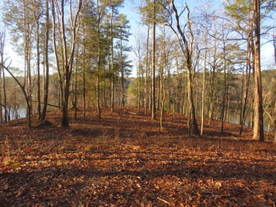 # Your Dream Waterfront Lot Awaits at Rock Ridge Subdivision! - photo 3