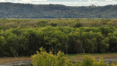 Waterfowl & Fishing Camp for Sale on the Mississippi River - photo 29
