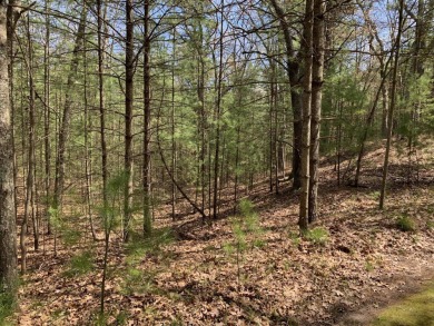 Bass Lake - Mason County Lot For Sale in Pentwater Michigan