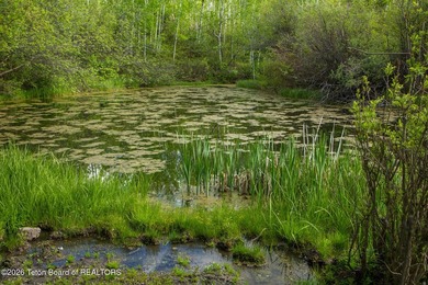 Rare Jackson Hole ranch offering just minutes from downtown - photo 11