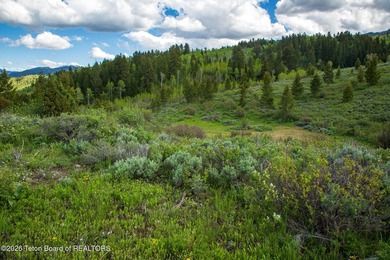 Rare Jackson Hole ranch offering just minutes from downtown - photo 13