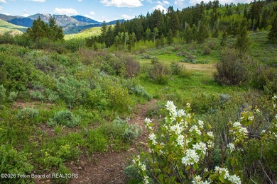 Rare Jackson Hole ranch offering just minutes from downtown - photo 14