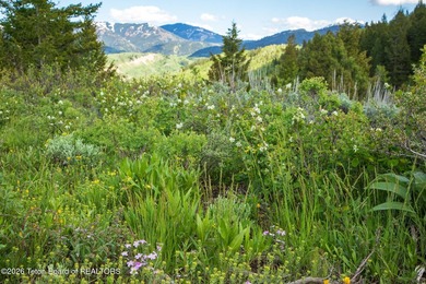 Rare Jackson Hole ranch offering just minutes from downtown - photo 16