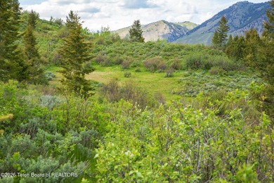 Rare Jackson Hole ranch offering just minutes from downtown - photo 18