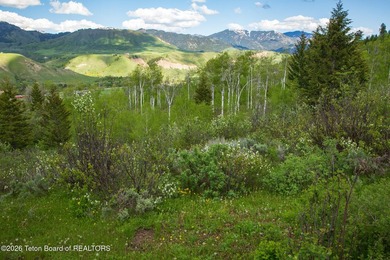 Rare Jackson Hole ranch offering just minutes from downtown - photo 21
