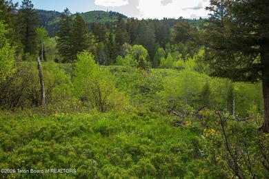 Rare Jackson Hole ranch offering just minutes from downtown - photo 23