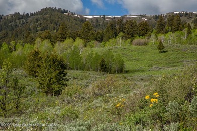 Rare Jackson Hole ranch offering just minutes from downtown - photo 25