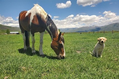 Welcome to Heritage Creek Ranch, an extraordinary 54-acre estate - photo 46