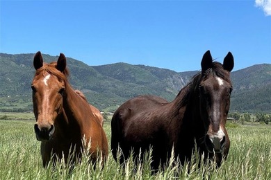Welcome to Heritage Creek Ranch, an extraordinary 54-acre estate - photo 48