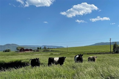 Welcome to Heritage Creek Ranch, an extraordinary 54-acre estate - photo 50