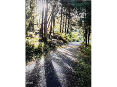 Nehalem River Lot For Sale in Wheeler Oregon