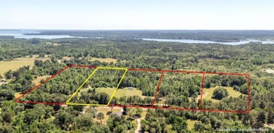 Lake Palestine Acreage For Sale in Chandler Texas
