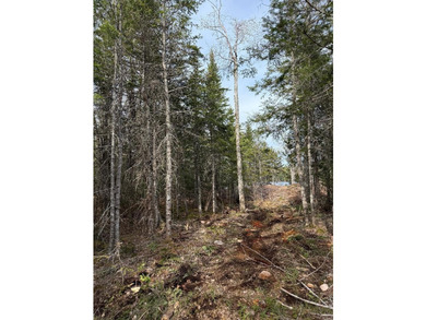4 +/- acres with 200' shorefront on Western Lake. Nice private - photo 11