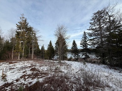 4 +/- acres with 200' shorefront on Western Lake. Nice private - photo 12