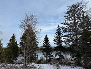 4 +/- acres with 200' shorefront on Western Lake. Nice private - photo 13