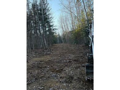 4 +/- acres with 200' shorefront on Western Lake. Nice private - photo 15