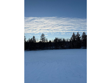 4 +/- acres with 200' shorefront on Western Lake. Nice private - photo 17