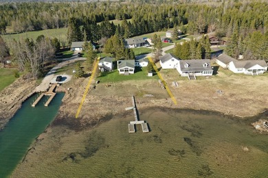 Heart of Les Cheneaux! Immaculate waterfront home on Snows - photo 2