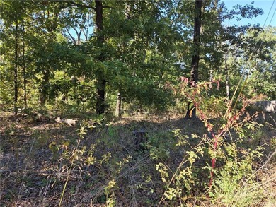 Lake Windsor Lot For Sale in Bella Vista Arkansas