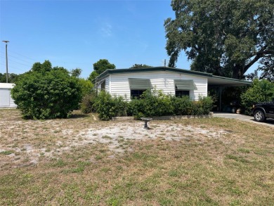 Lake Home For Sale in Leesburg, Florida