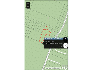 Amazing rolling 1.48 acre lot located on East end of island - photo 3