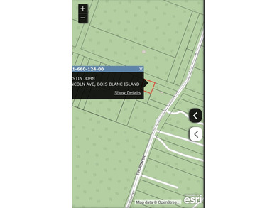 Amazing rolling 1.48 acre lot located on East end of island - photo 4
