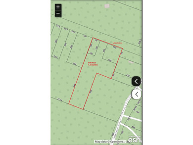 Amazing rolling 1.48 acre lot located on East end of island - photo 6