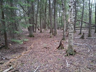 Amazing rolling 1.48 acre lot located on East end of island - photo 7