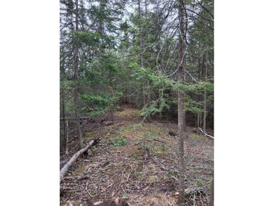 Amazing rolling 1.48 acre lot located on East end of island - photo 8