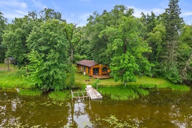 Turn Key Wisconsin River/Lake Petenwell waterfront cabin in a - photo 2