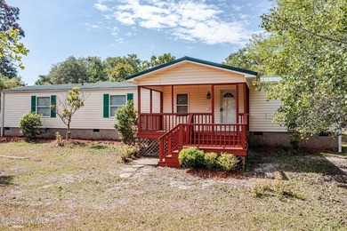 Move-in ready coastal property with privacy that's hard to find - photo 44