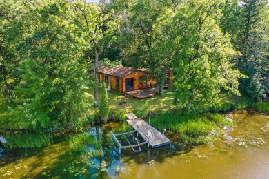 Turn Key Wisconsin River/Lake Petenwell waterfront cabin in a - photo 9