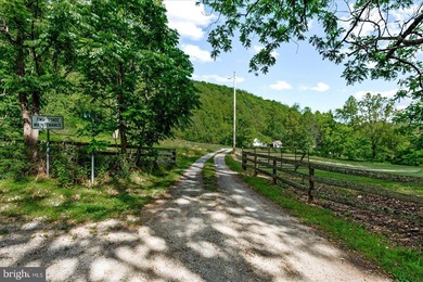 A private estate set in the countryside near Sperryville, VA - photo 50
