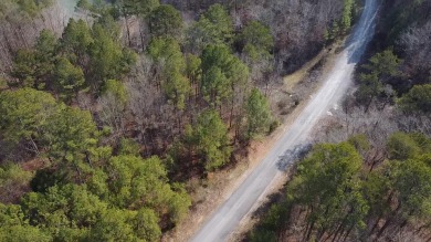 Build your dream lake retreat on beautiful Lewis Smith Lake! - photo 2