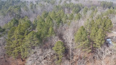 Build your dream lake retreat on beautiful Lewis Smith Lake! - photo 3