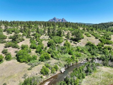 Lake Lot For Sale in Pagosa Springs, Colorado