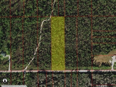 One 2.5 Acres for $130,000 or both 2.5 Acres (2931 50TH AVE NE - - photo 1